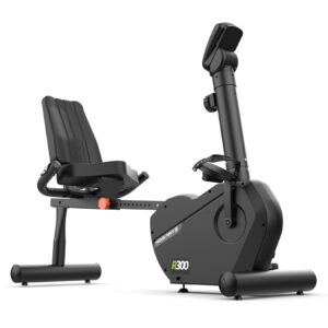 Bicicleta Ergométrica Horizontal Movement R300