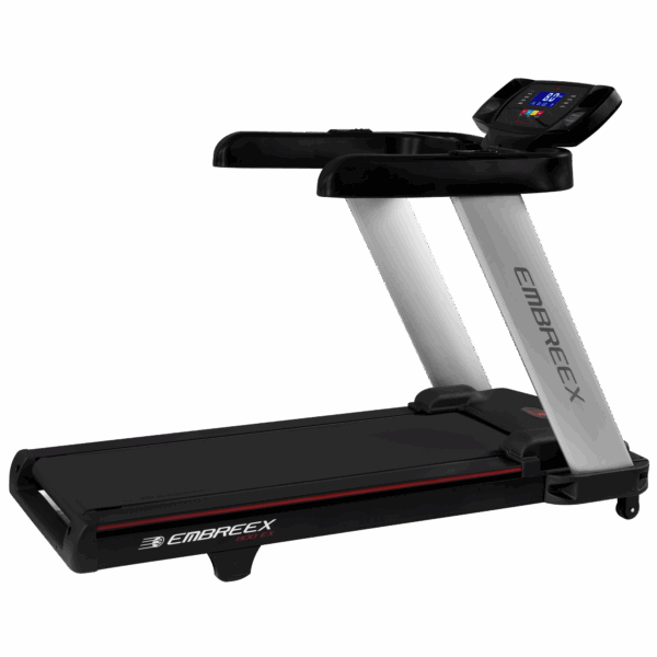 ESTEIRA 800EX
